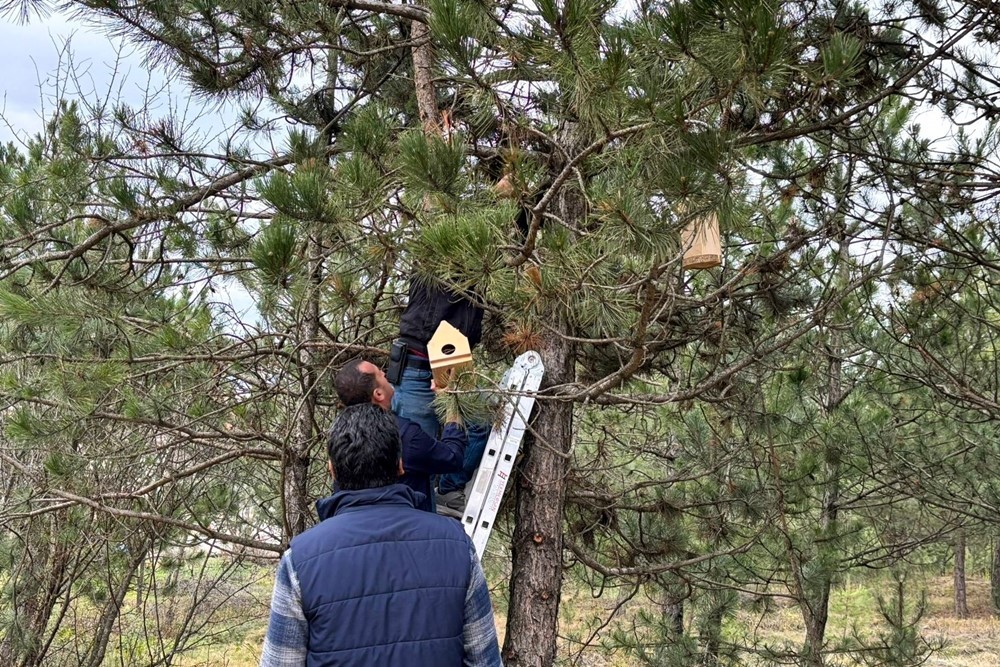 Üniversite öğrencileri kampüsü kuş yuvaları ile donattı