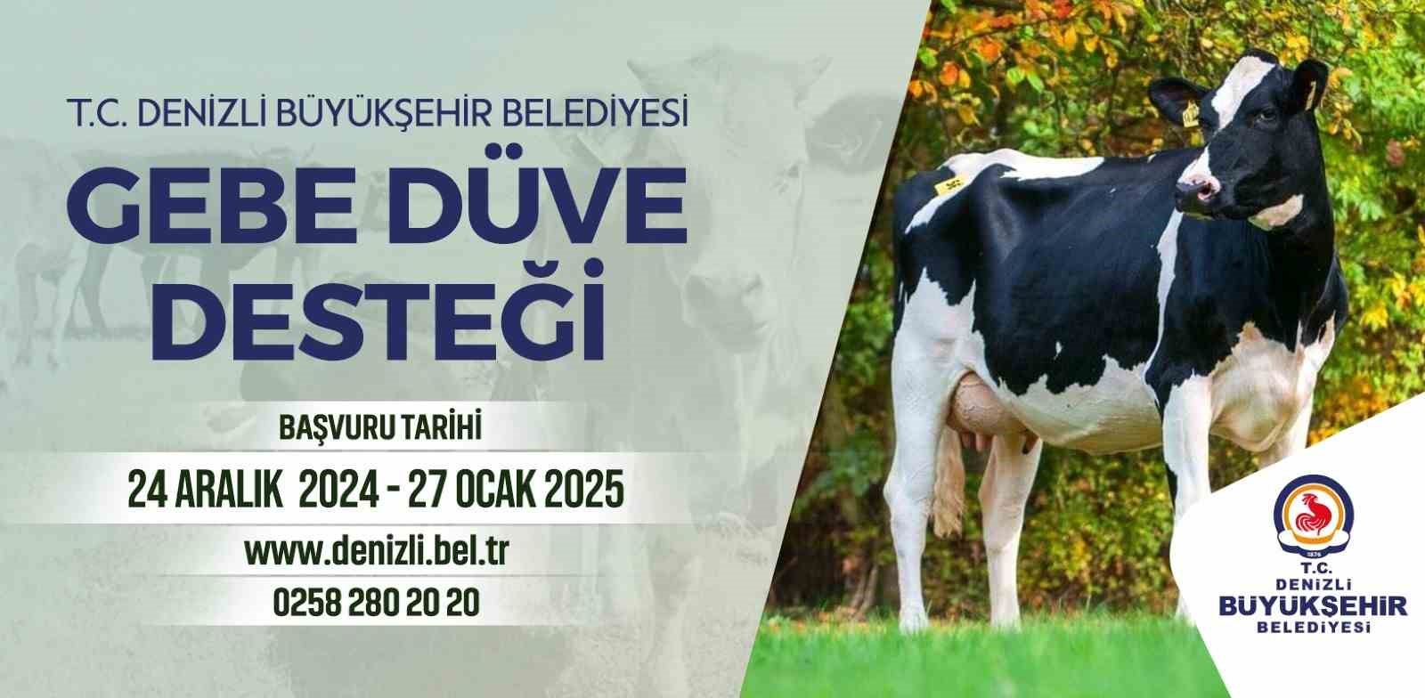 Denizli Büyükşehirin köye dönüş projesi başladı