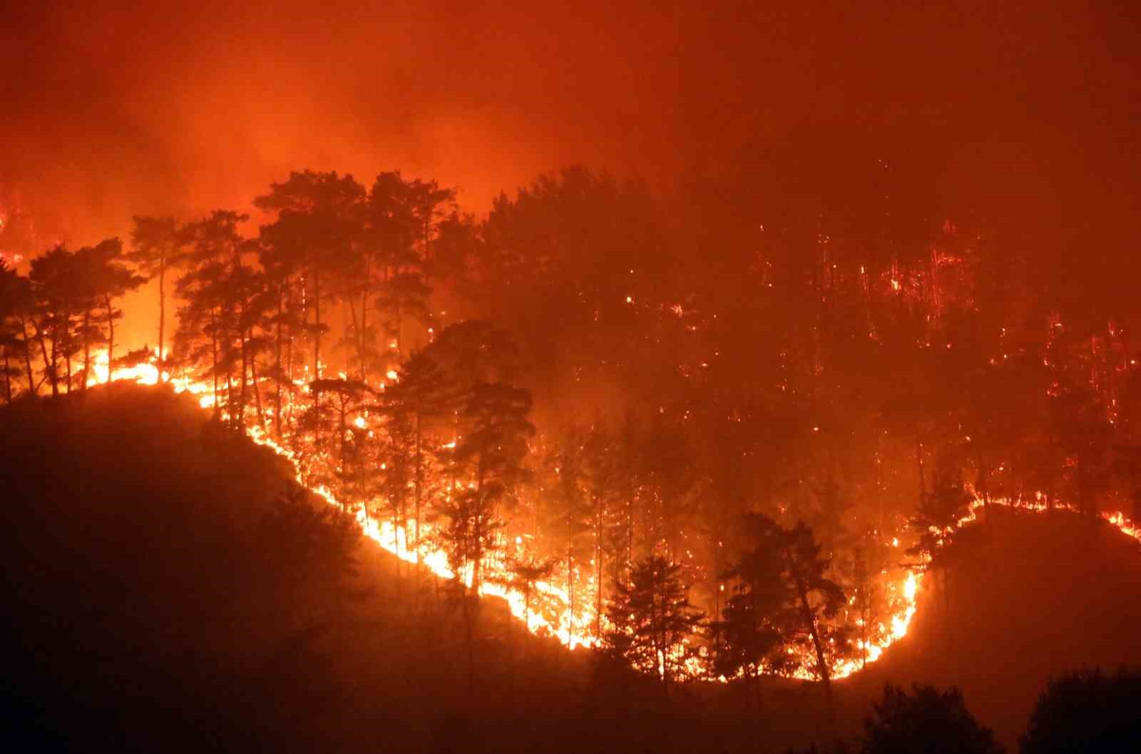 Muğla’da yaz sezonunda günde ortalama 6 yangına müdahale edildi