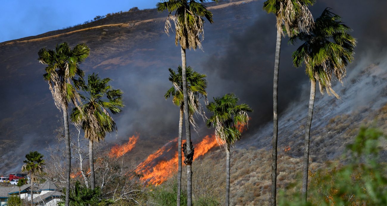 California’da çıkan yeni yangın kontrol altına alındı, 1 kişi gözaltında