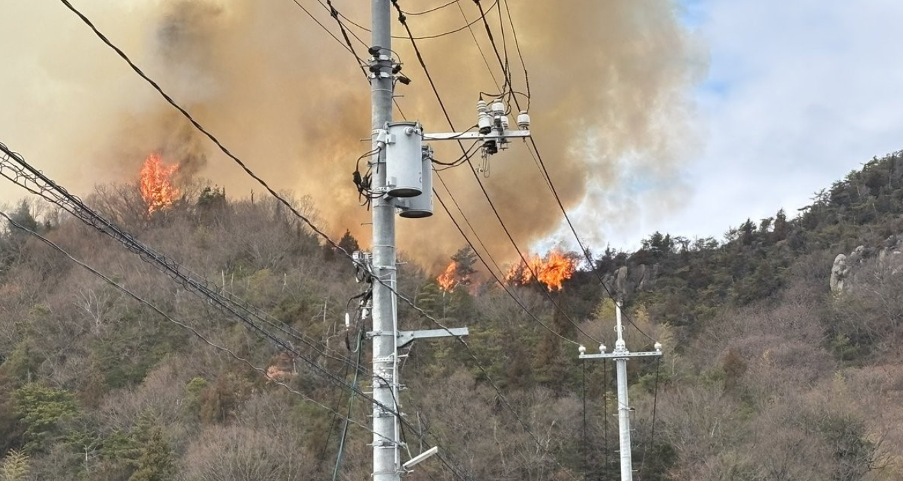 Japonya’da orman yangını: 150 kişi tahliye edildi