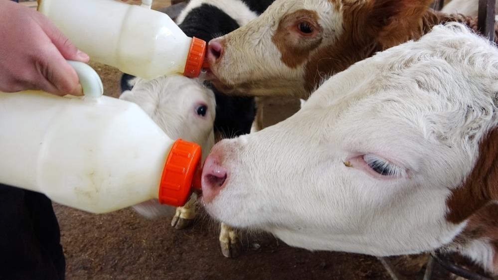 Düzce’de çiftçilerin destekleme icmalleri askıya çıktı