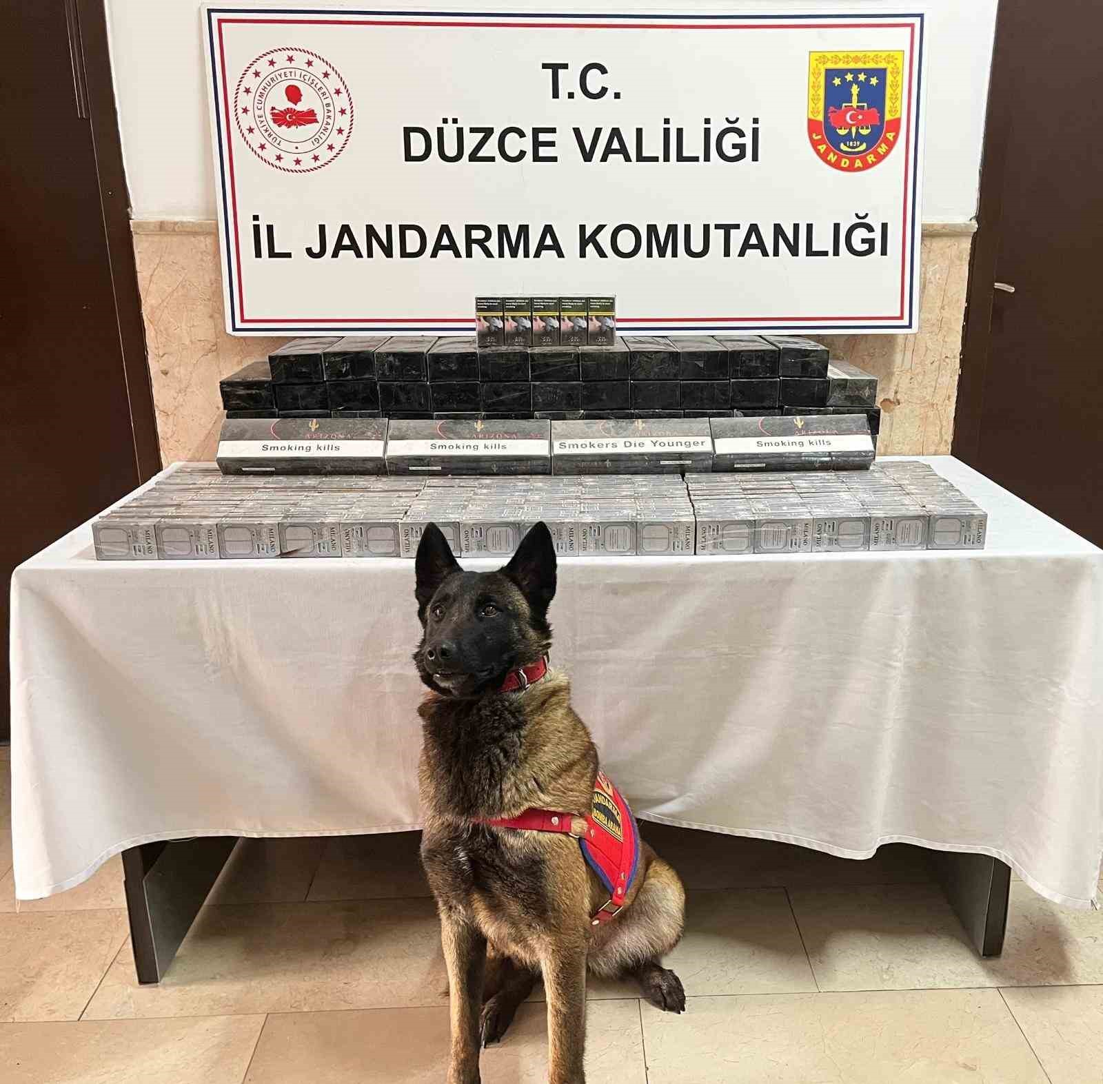 Düzce’de tırda bin 69 paket kaçak sigara ele geçirildi