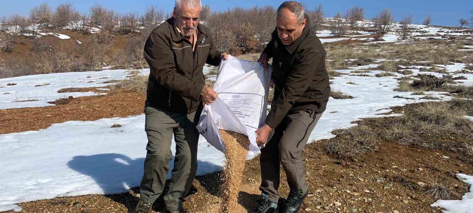 Batman’da hayvanlar için doğaya yem bırakıldı