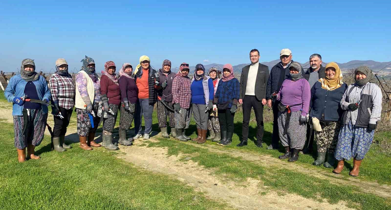 Erkeklerin işi olarak bilinen bağ budama işine kadın eli değdi