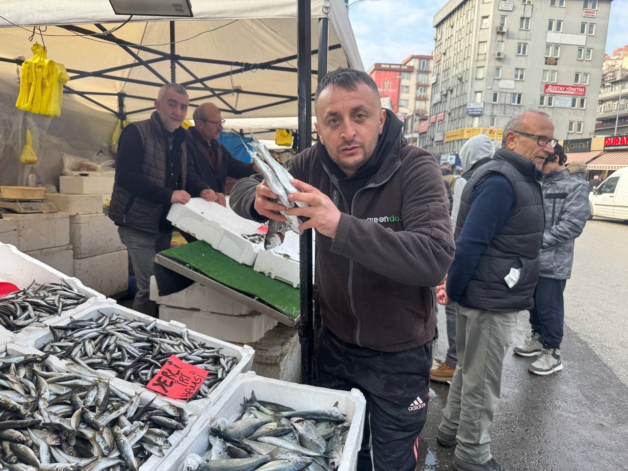 Zonguldak’ta istavrit tezgahları şenlendirdi