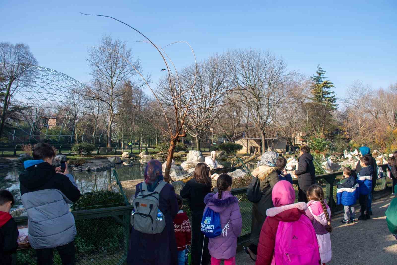 Genç sporcular hayvanat bahçesine hayran kaldı