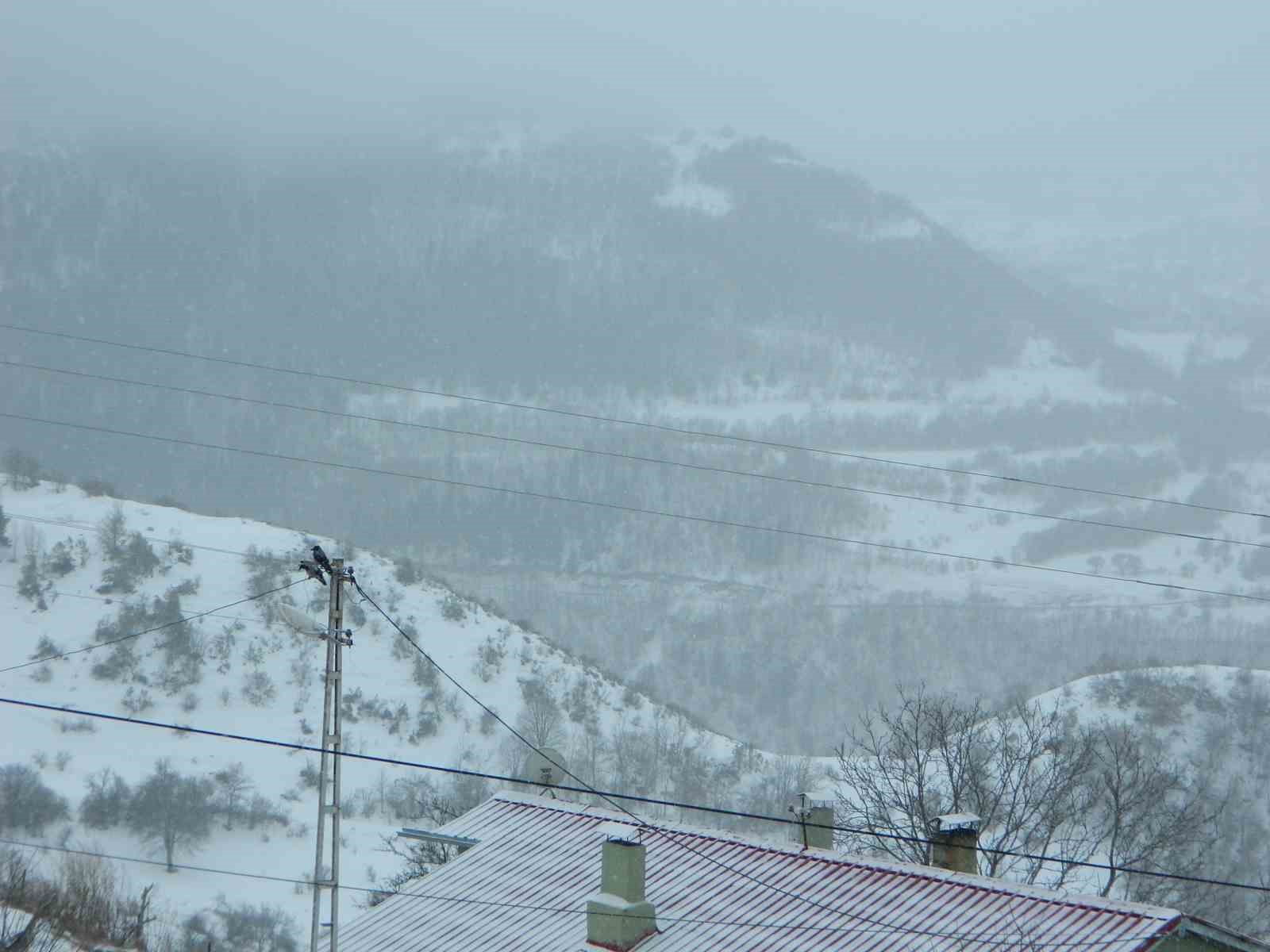 Posof güne karla uyandı
