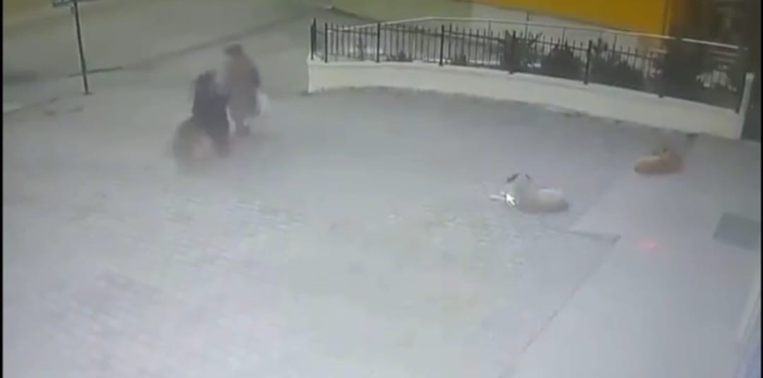 Sahipsiz köpeğin yaşlı kadına saldırdığı anlar kamerada
