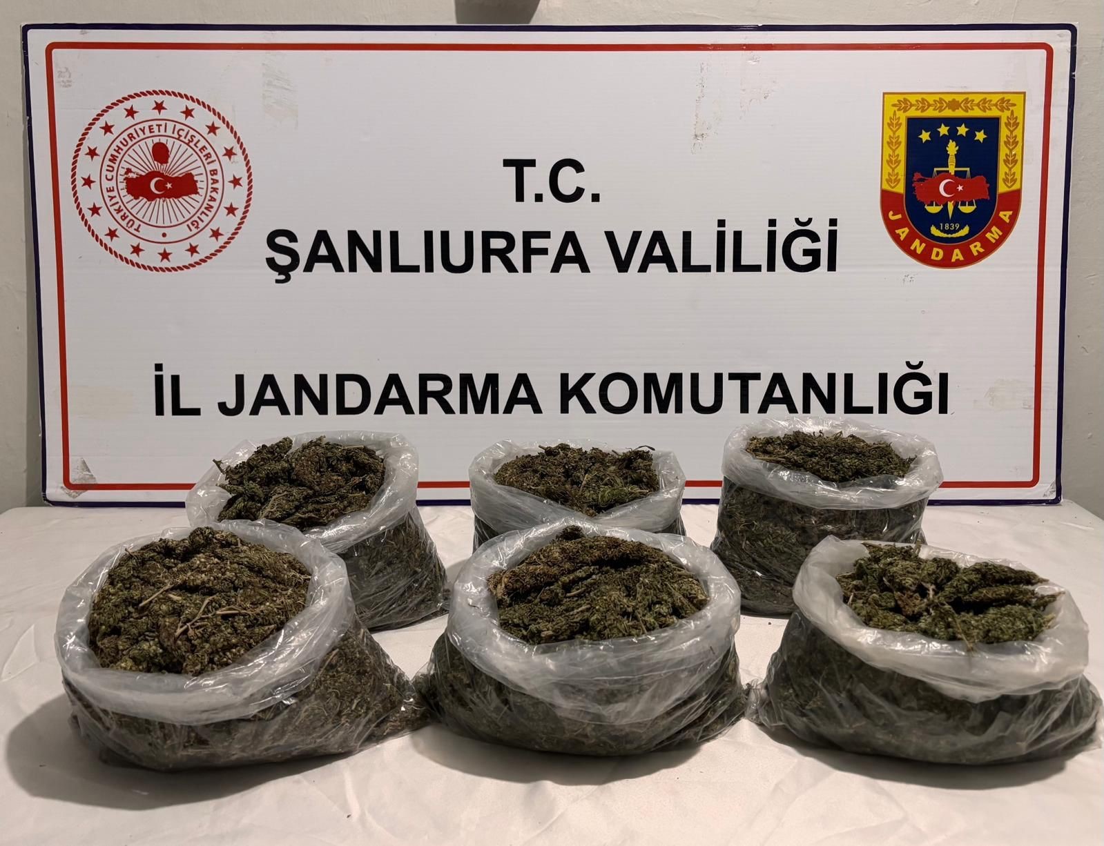 Şanlıurfa’da uyuşturucu operasyonu: 16 gözaltı