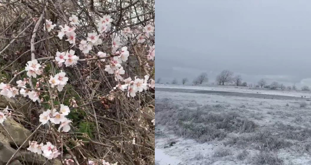 Tekirdağ’da ilginç doğa görüntüsü: Bir yanda bahar, bir yanda kış