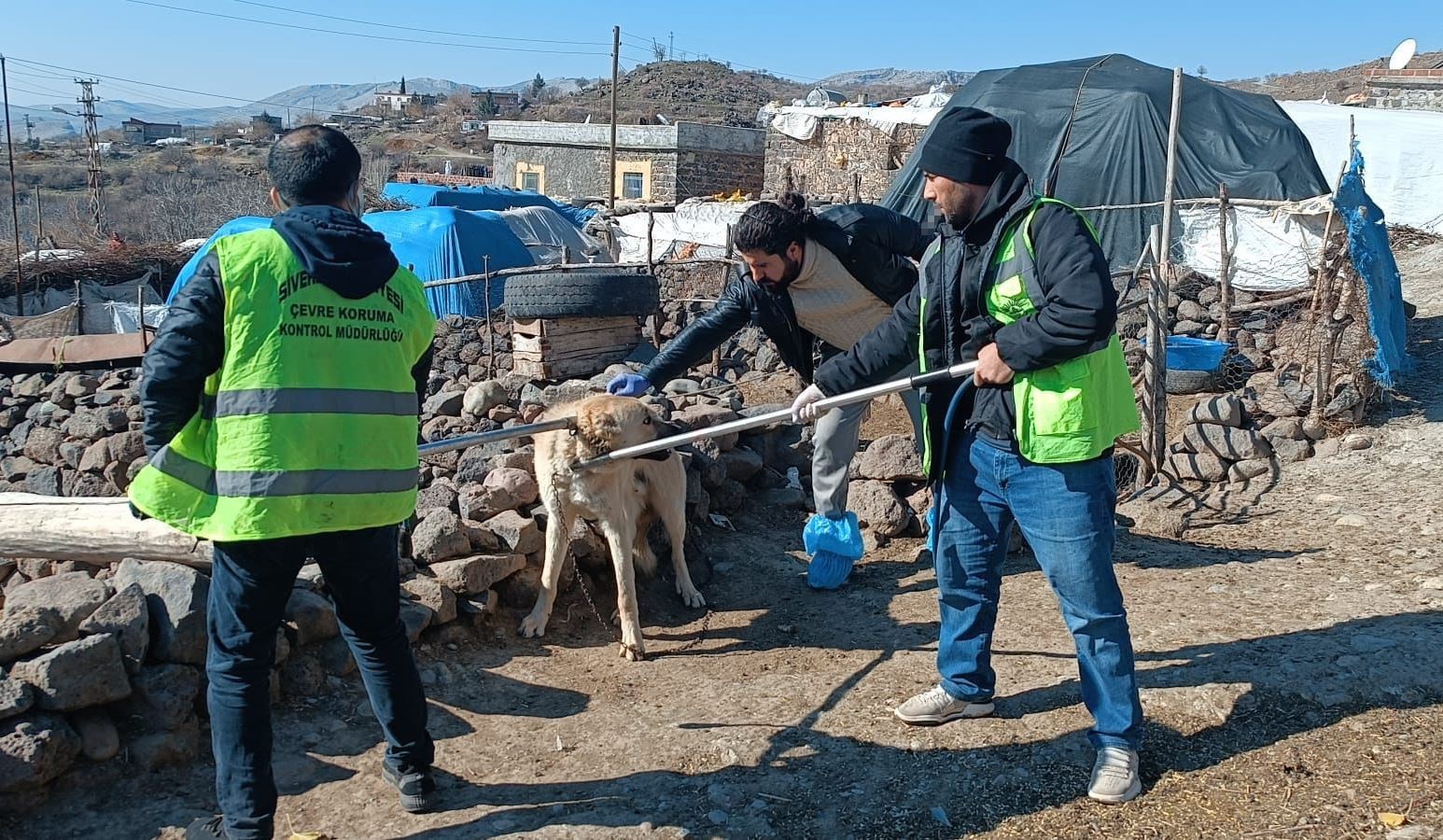 Siverek’te kuduz alarmı: Köpek saldırısında 3 kişi yaralandı, köy karantinaya alındı