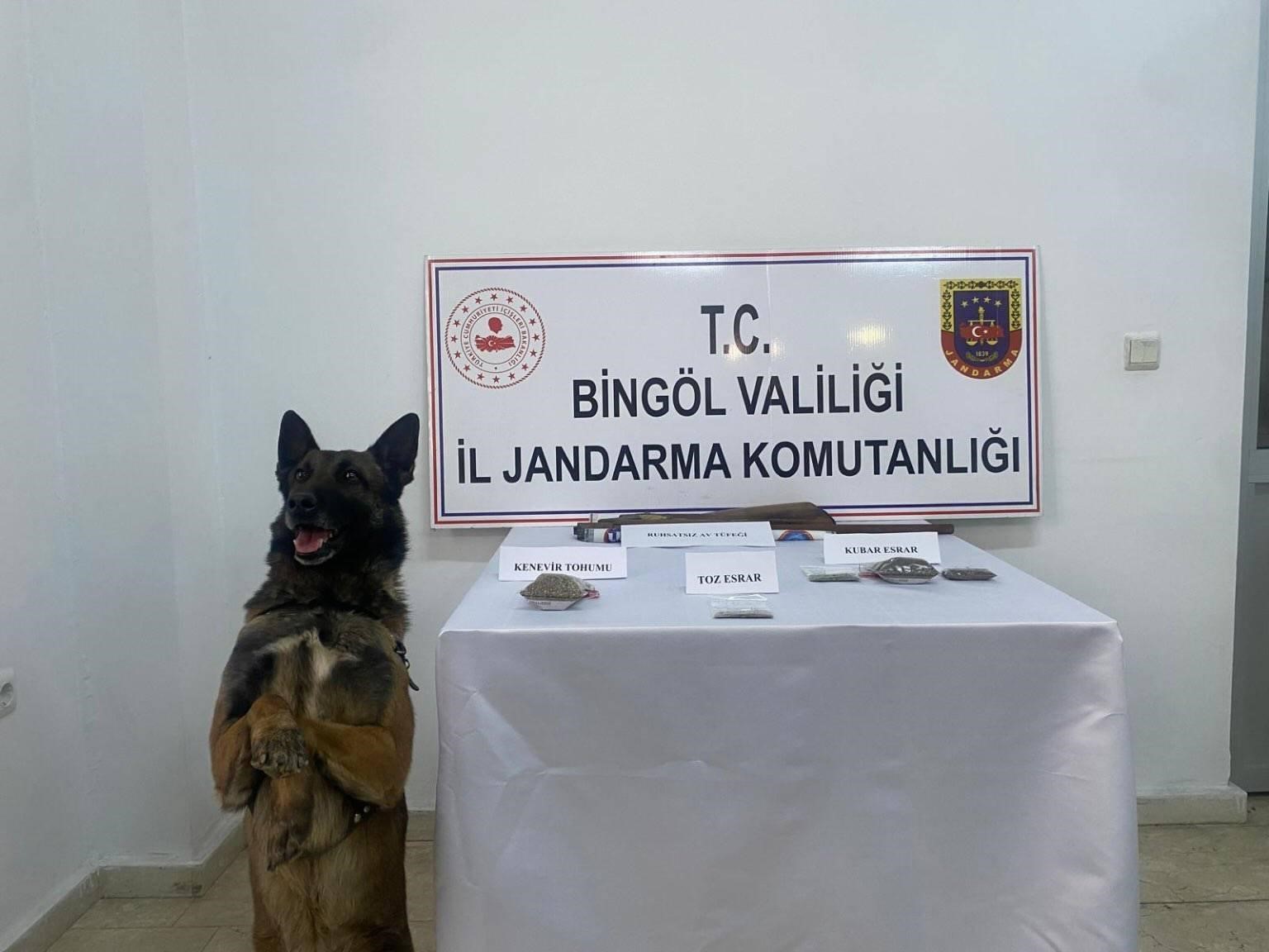 Bingöl’de uyuşturucu madde ve 3 adet tüfekle ele geçirildi