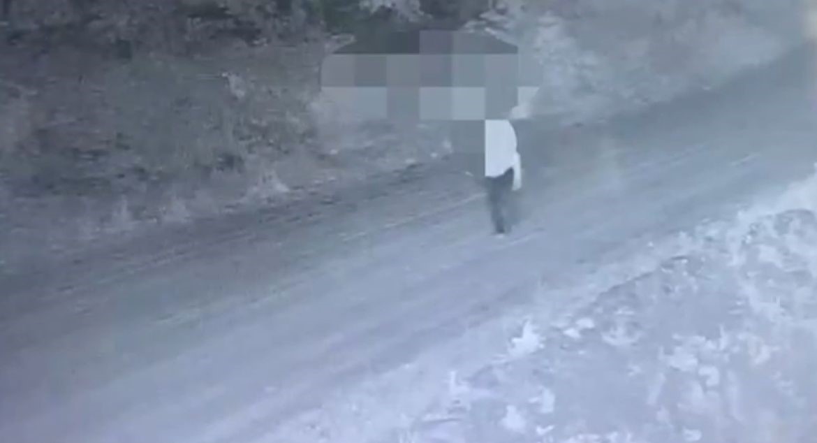 (Özel) Jandarmanın fotokapanı organize suç örgütünü böyle kaptı