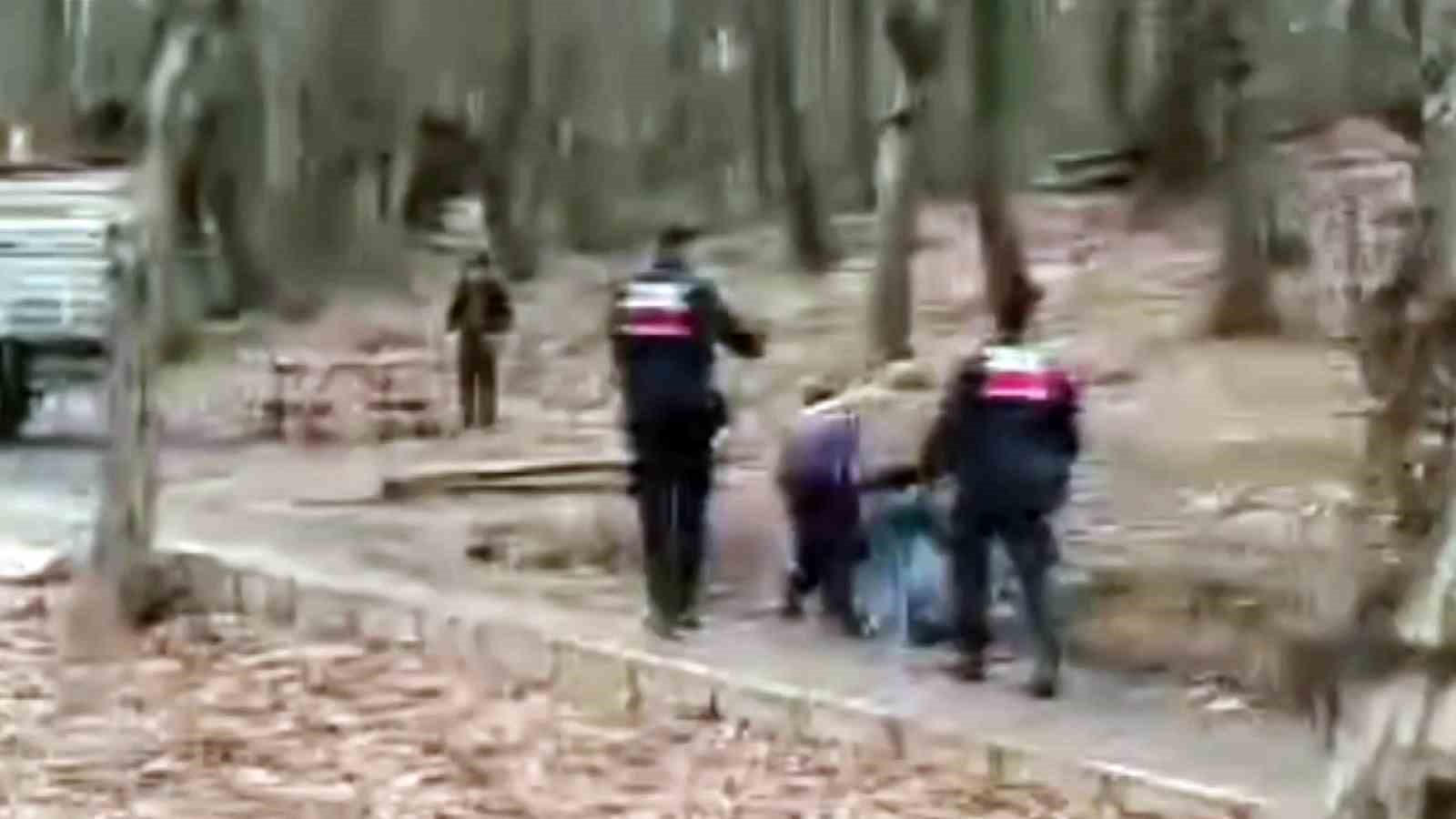 Tabiat Parkını tepeden tırnağa soydular