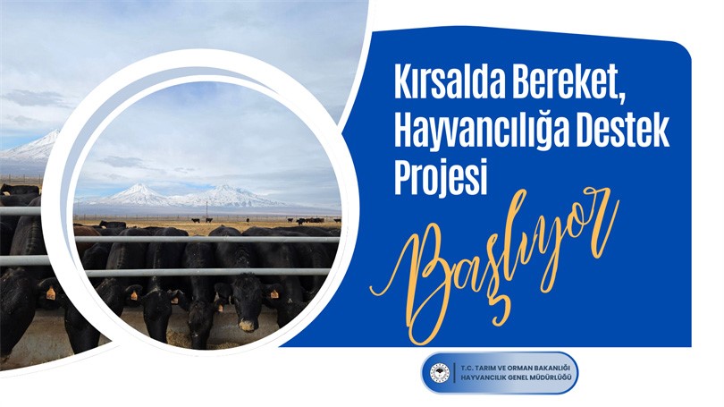 Tarım ve Orman Bakanlığından hayvan yetiştiricilerine gebe düve desteği