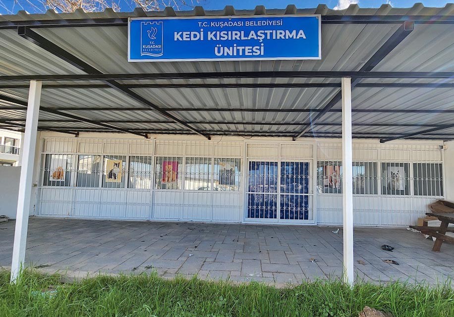 Davutlar Mahallesi’ne kedi kısırlaştırma merkezi açılıyor