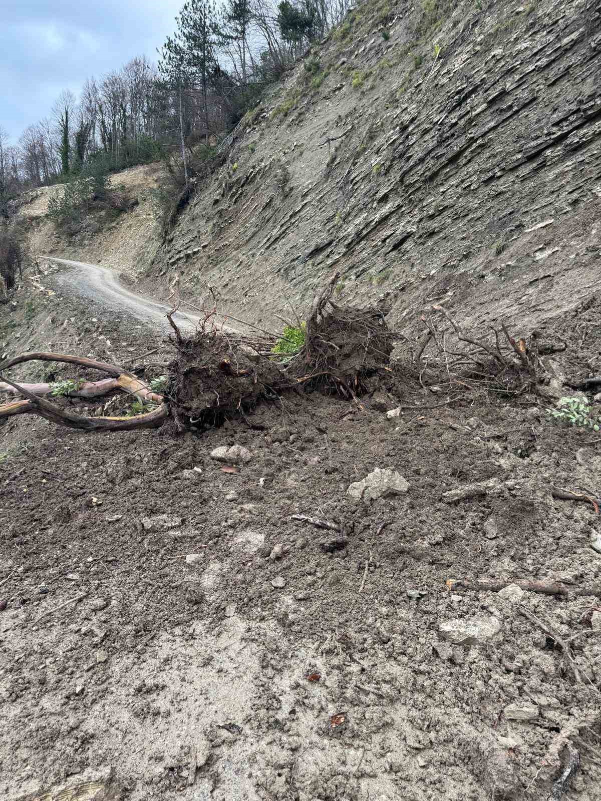 Türkeli’de toprak kayması: Bir köy yolu ulaşıma kapandı