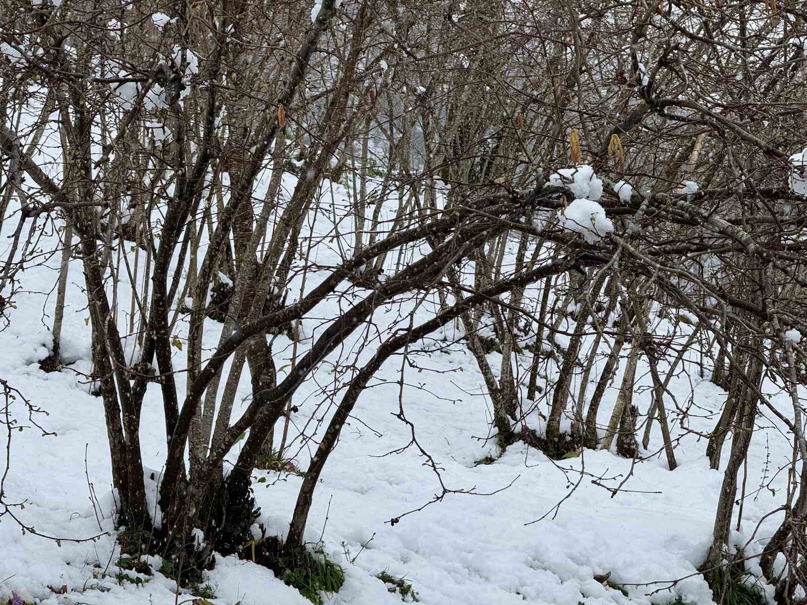 Giresun Ziraat Odası Başkanı Nurittin Karan, zirai don riskine karşı uyardı