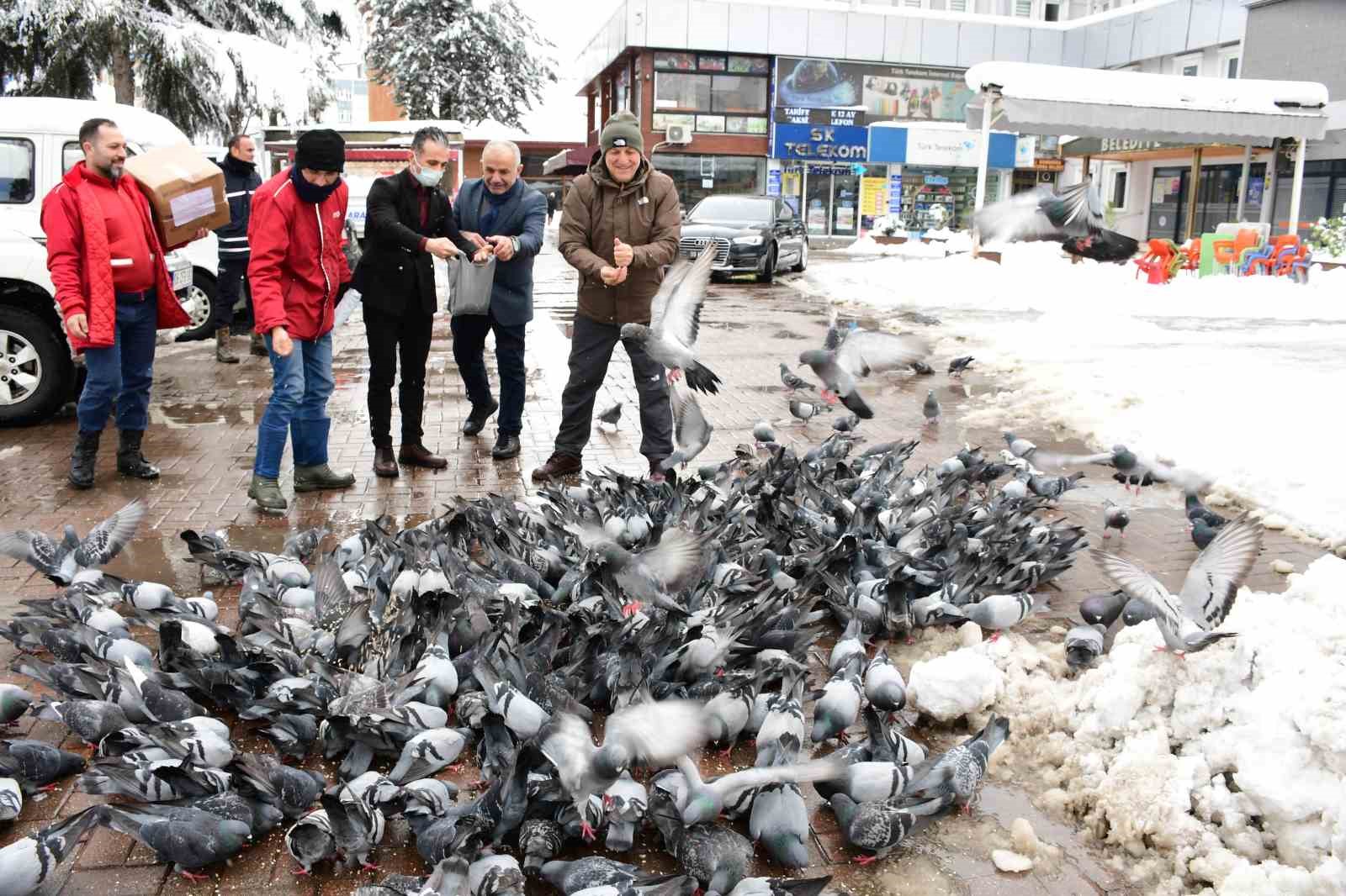 Başkan Kul: 
