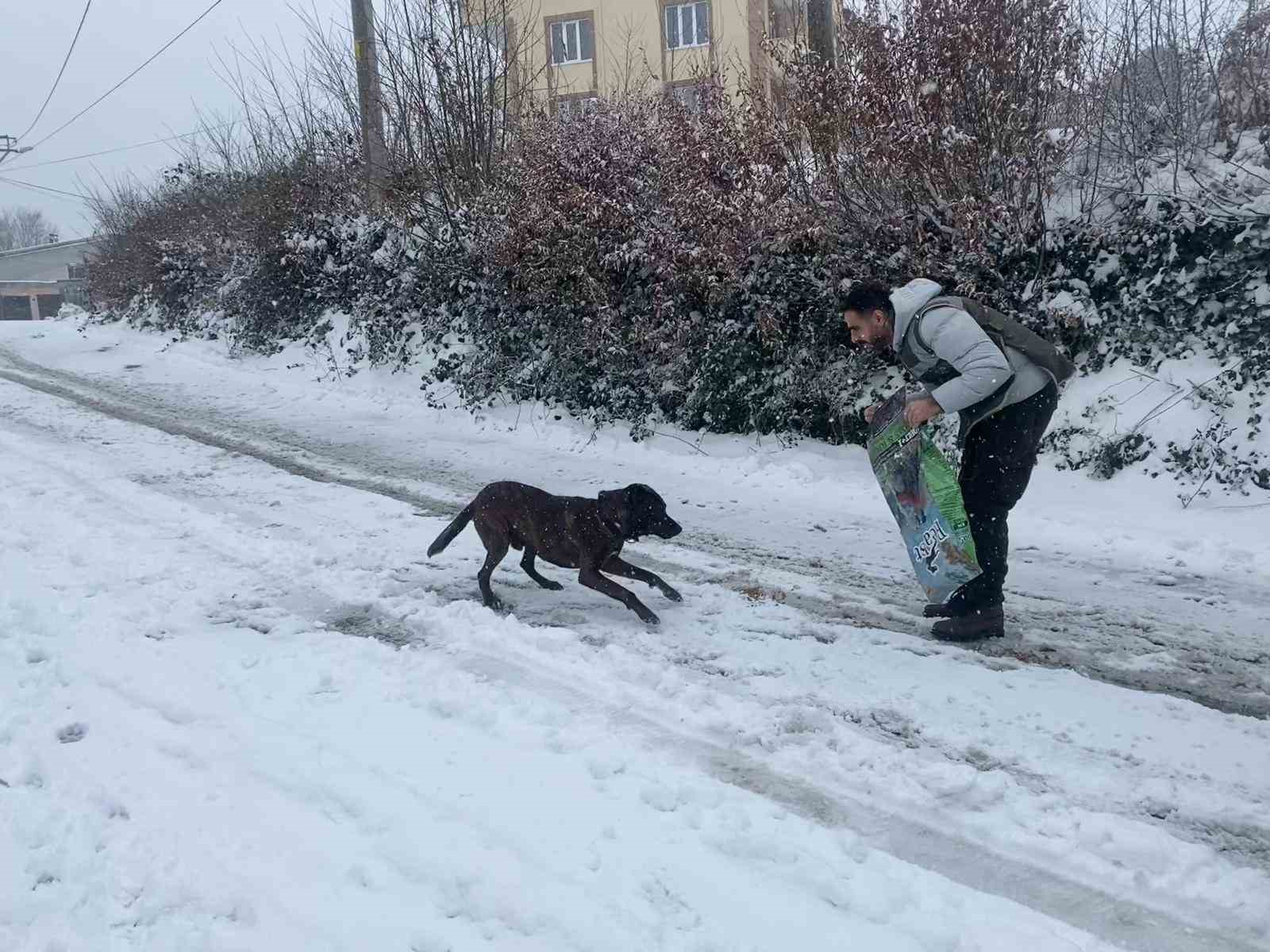 HAYDİ ekibinden sokak hayvanlarına mama desteği