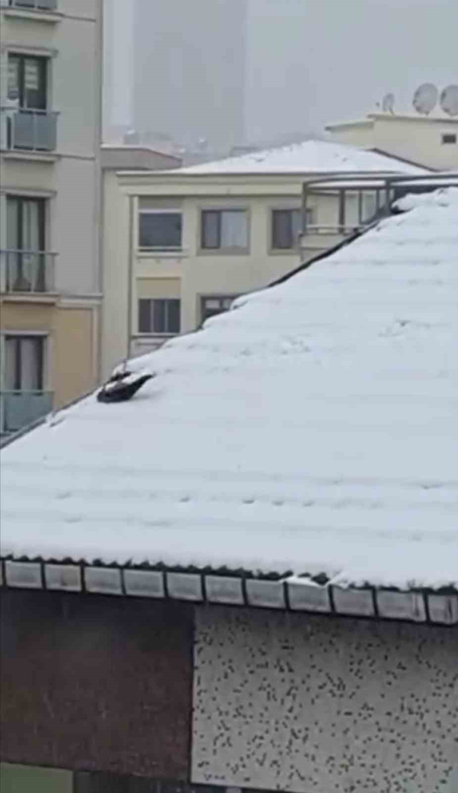 Ataşehir’de karganın kar keyfi kamerada