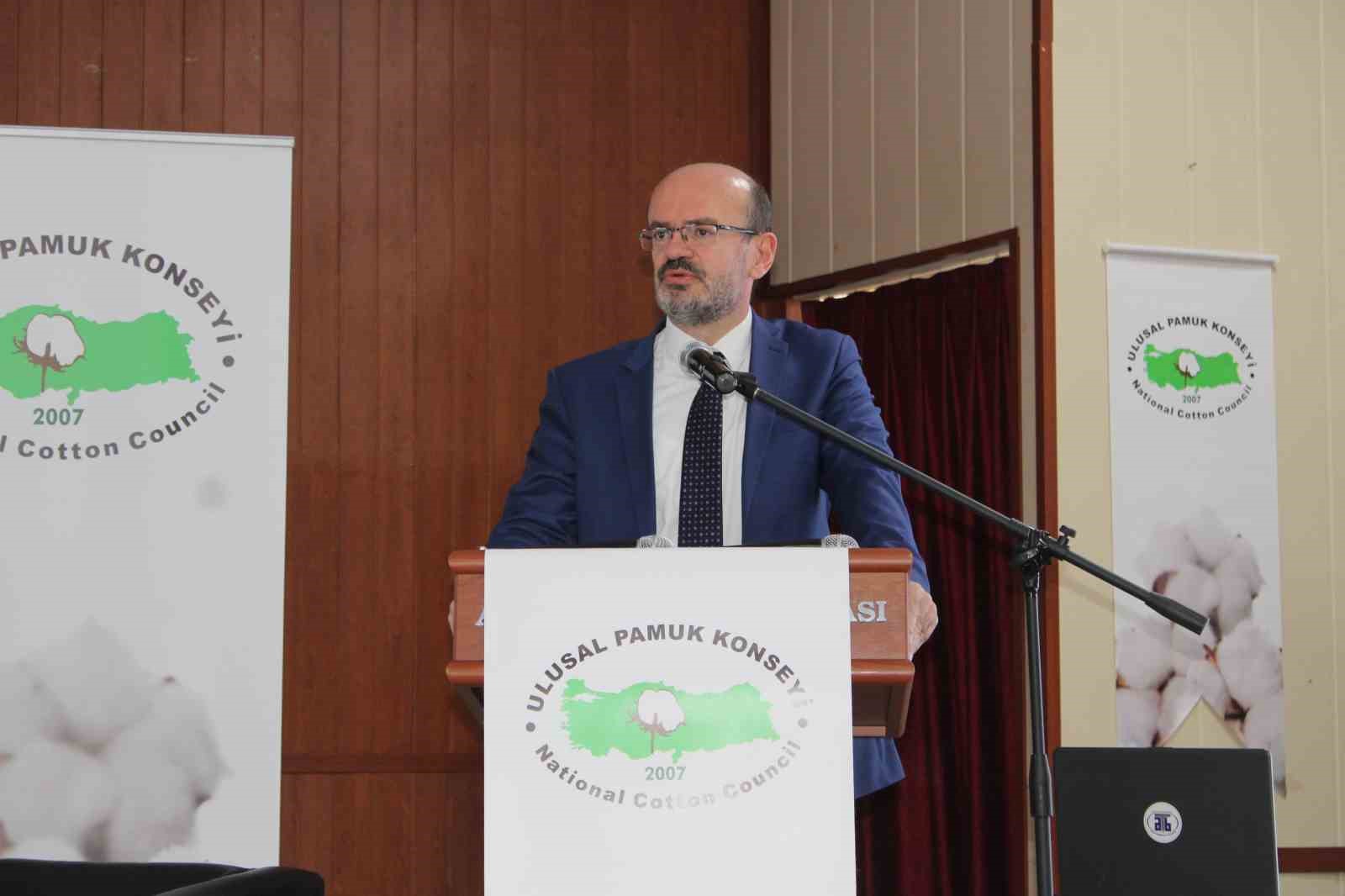 Bu yıl pamuk toprağa ekilmeden desteklemeler açıklandı
