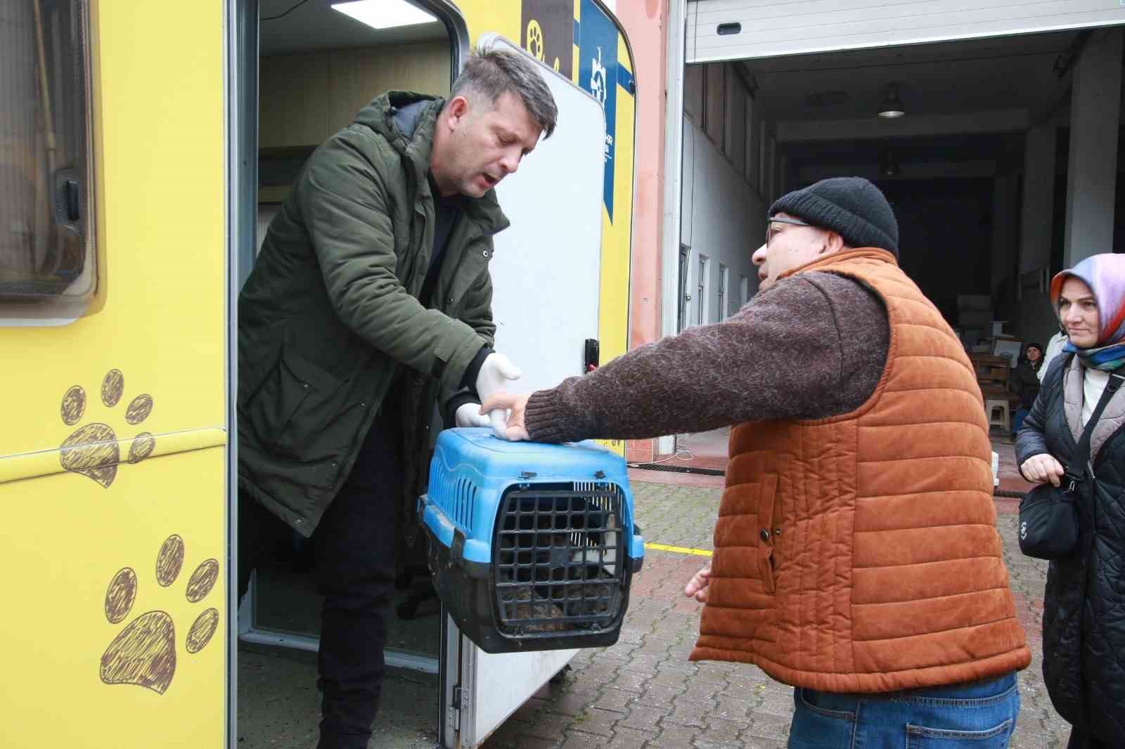 Sokak kedilerine şefkat eli