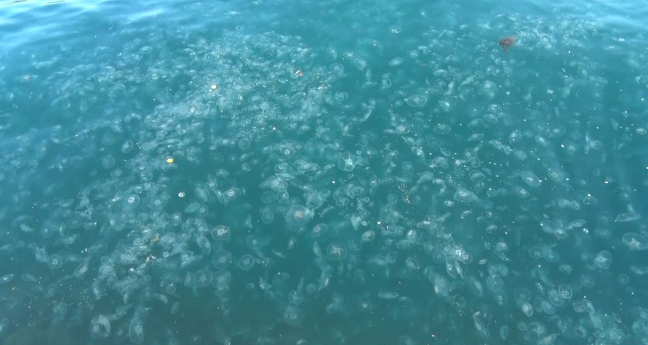 Deniz köpürdü!