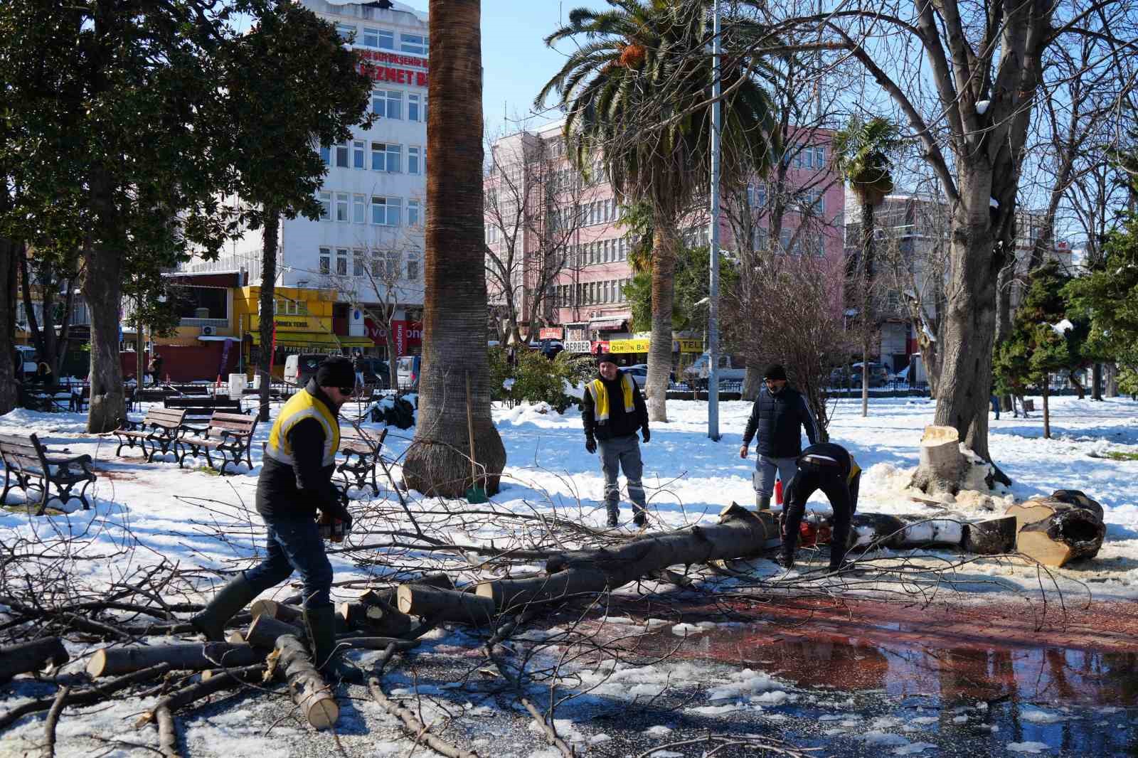 Kardan zarar gören ağaçlar kesilerek kaldırıldı