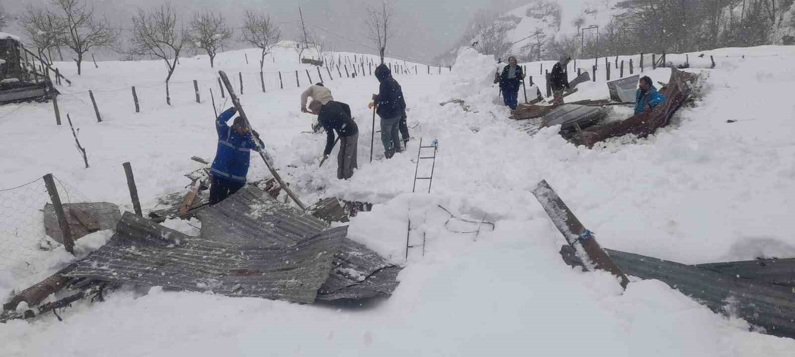 Trabzon’da kar nedeniyle ahırın çatısı çöktü