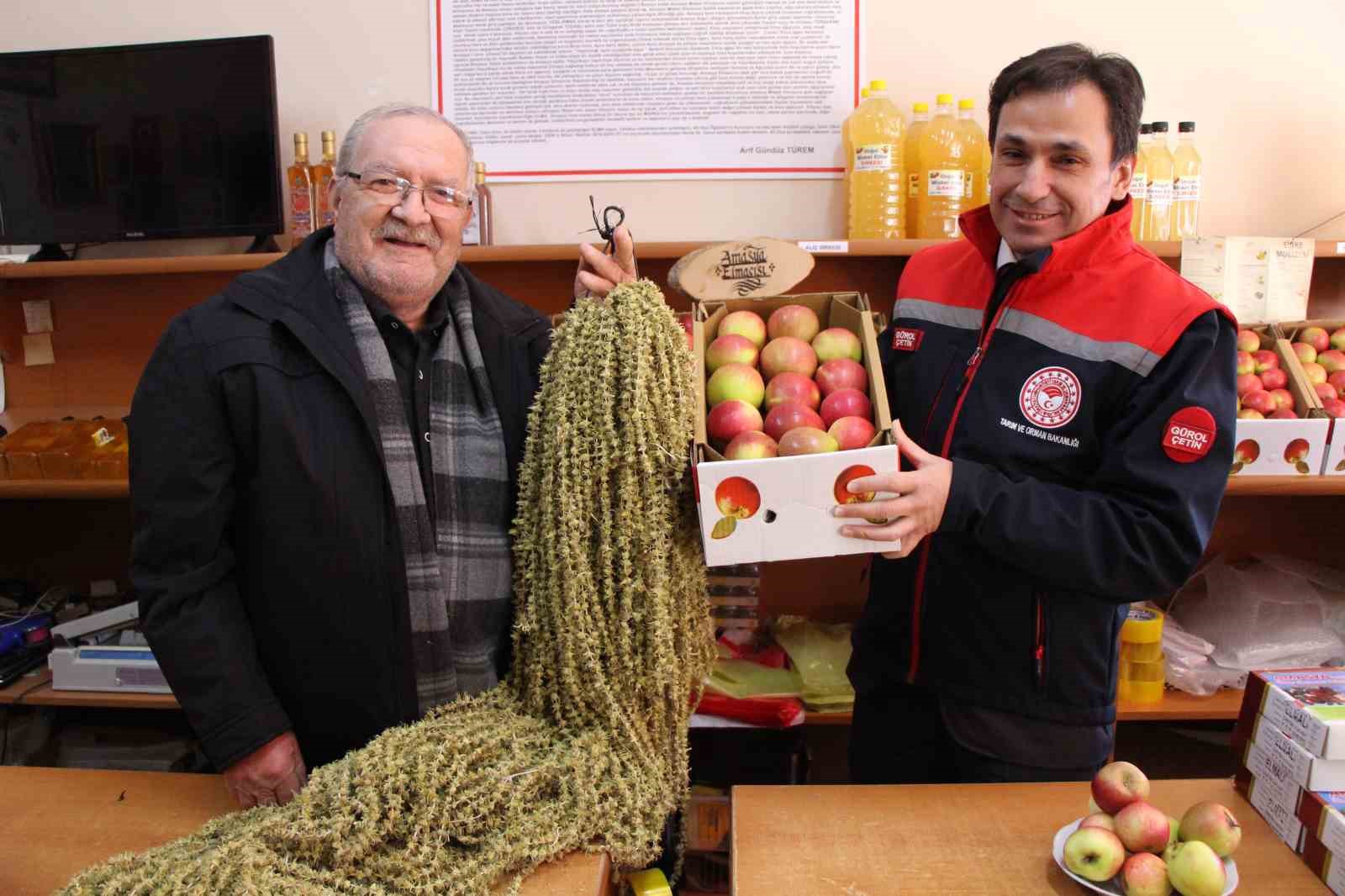 Amasya’nın misket elması ve çiçek bamyası AB’ye tescil yolunda