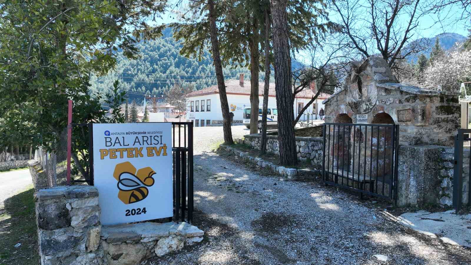Büyükşehir Belediyesinin Bal Arısı Petek Evi açılışa hazırlanıyor