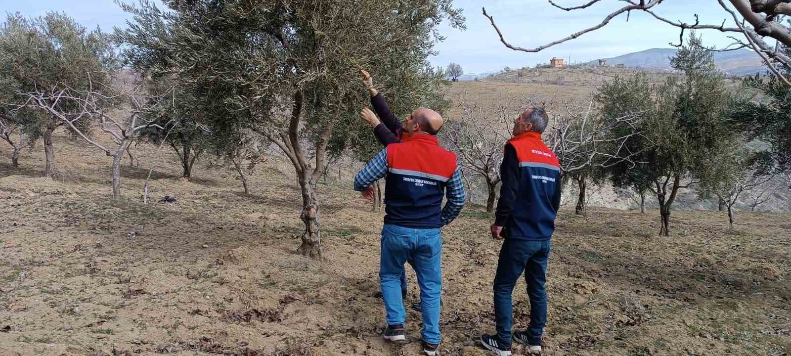Siirt’te soğuk hava ve don kontrolleri yapıldı