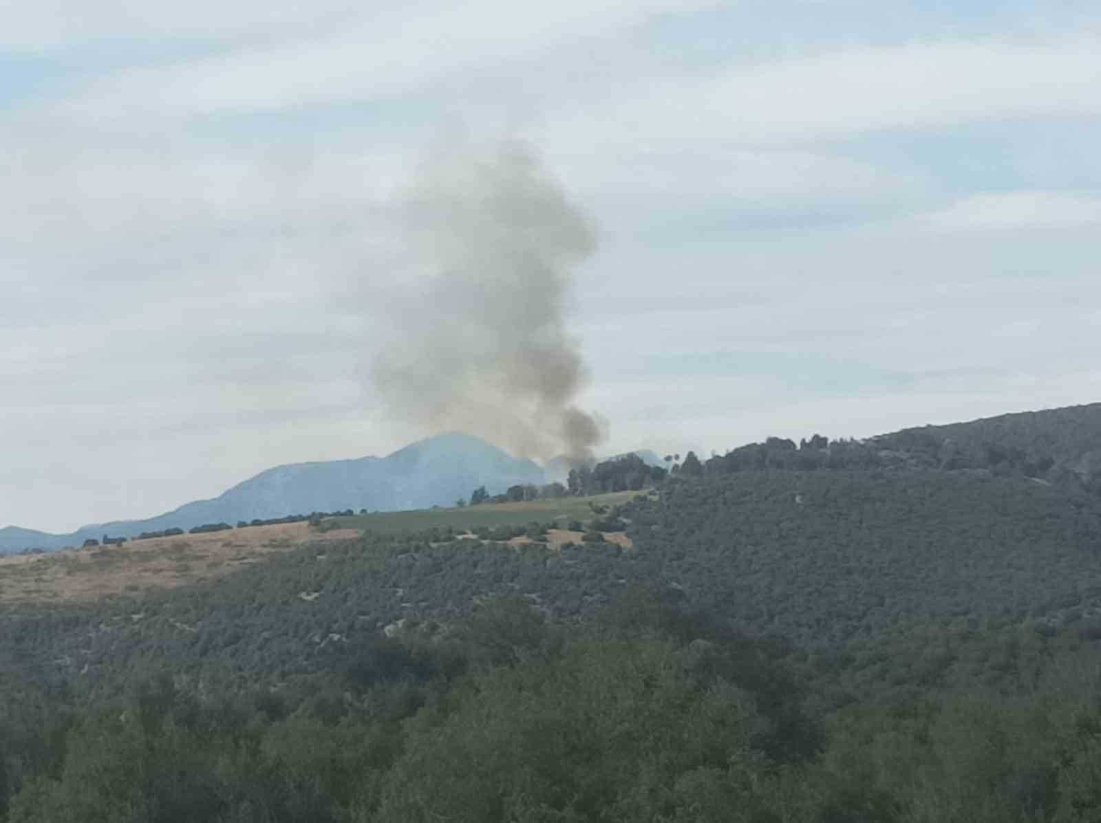 Kahramanmaraş’ta ormanlık alanda çıkan yangın söndürüldü