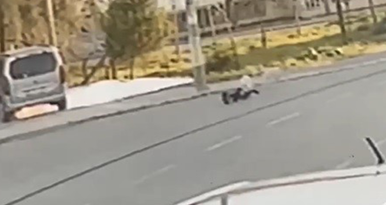 İzmir’de yine sokak köpeği, yine çocuğa saldırı