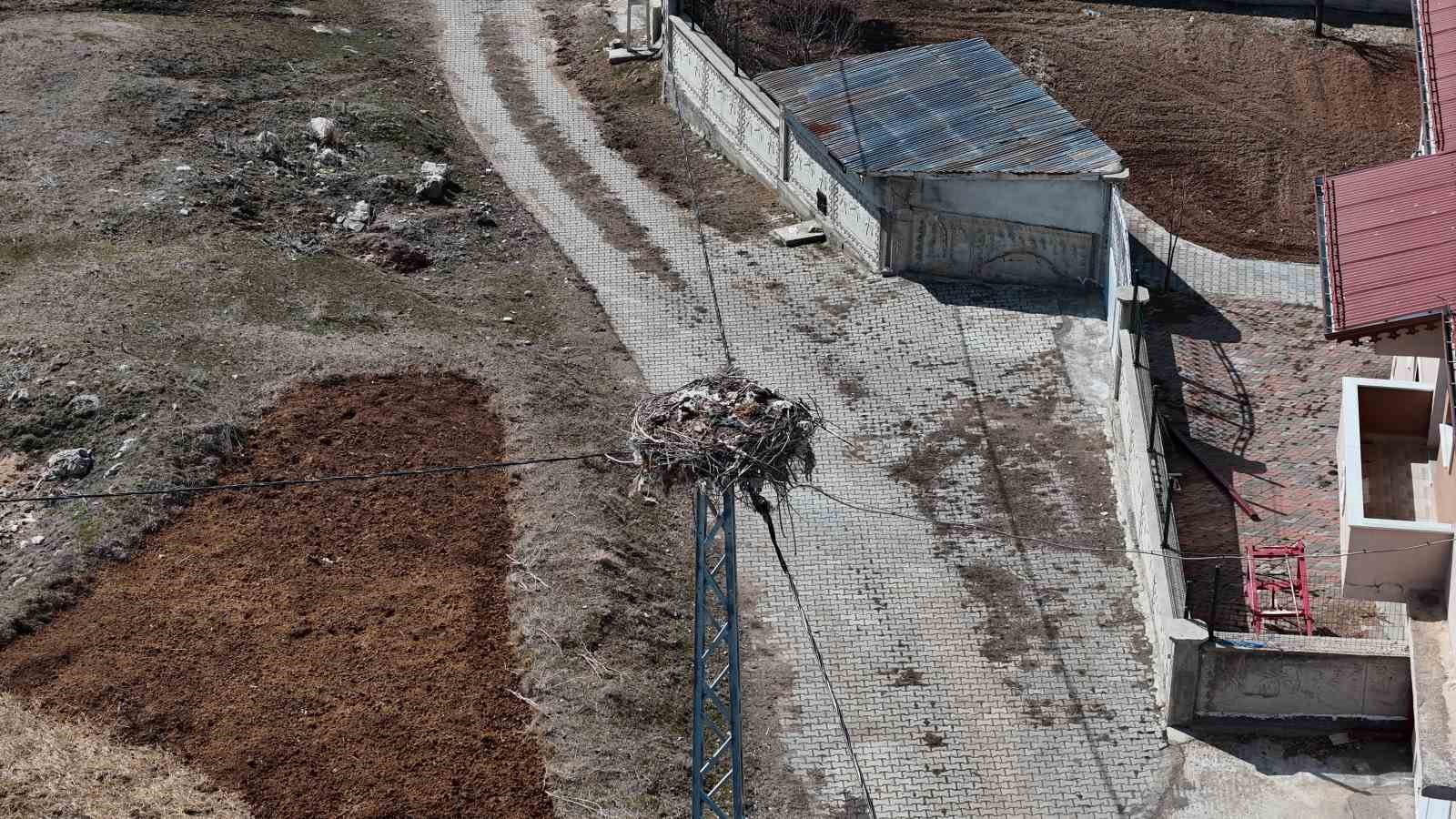 Sivas’ın ‘Leylekli köyü’, baharın müjdeleyicilerini bekliyor