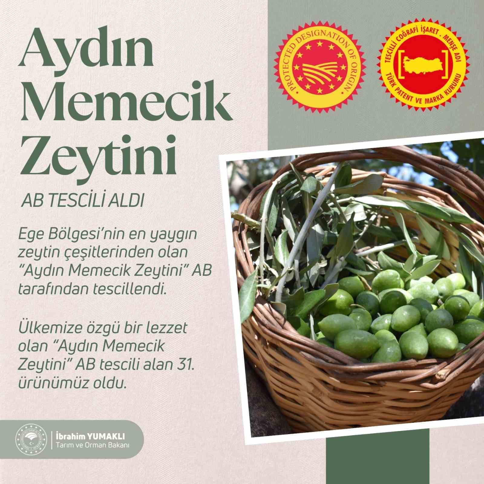 Aydın Memecik Zeytini, AB tarafından tescillendi
