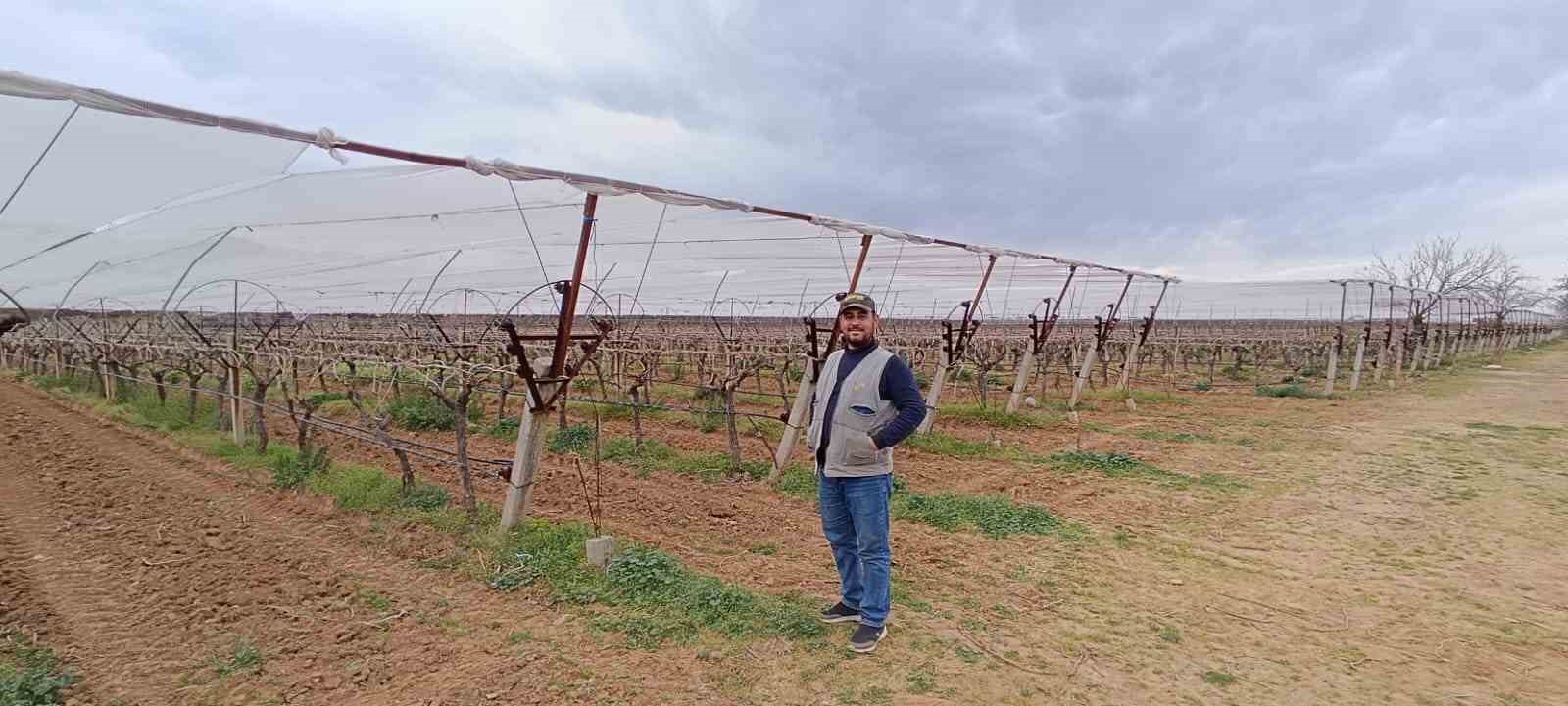 Manisalı çiftçiler don ve dolu riskine karşı tedbir almaya başladı