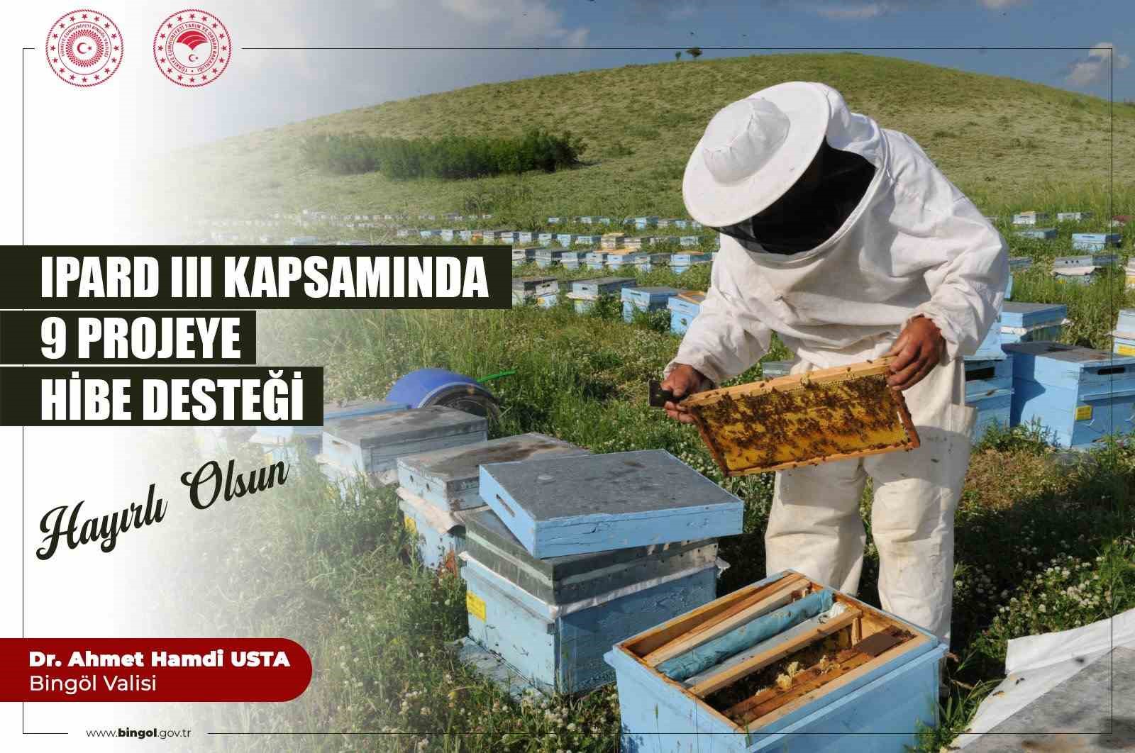 IPARD projelerinde kadın eli