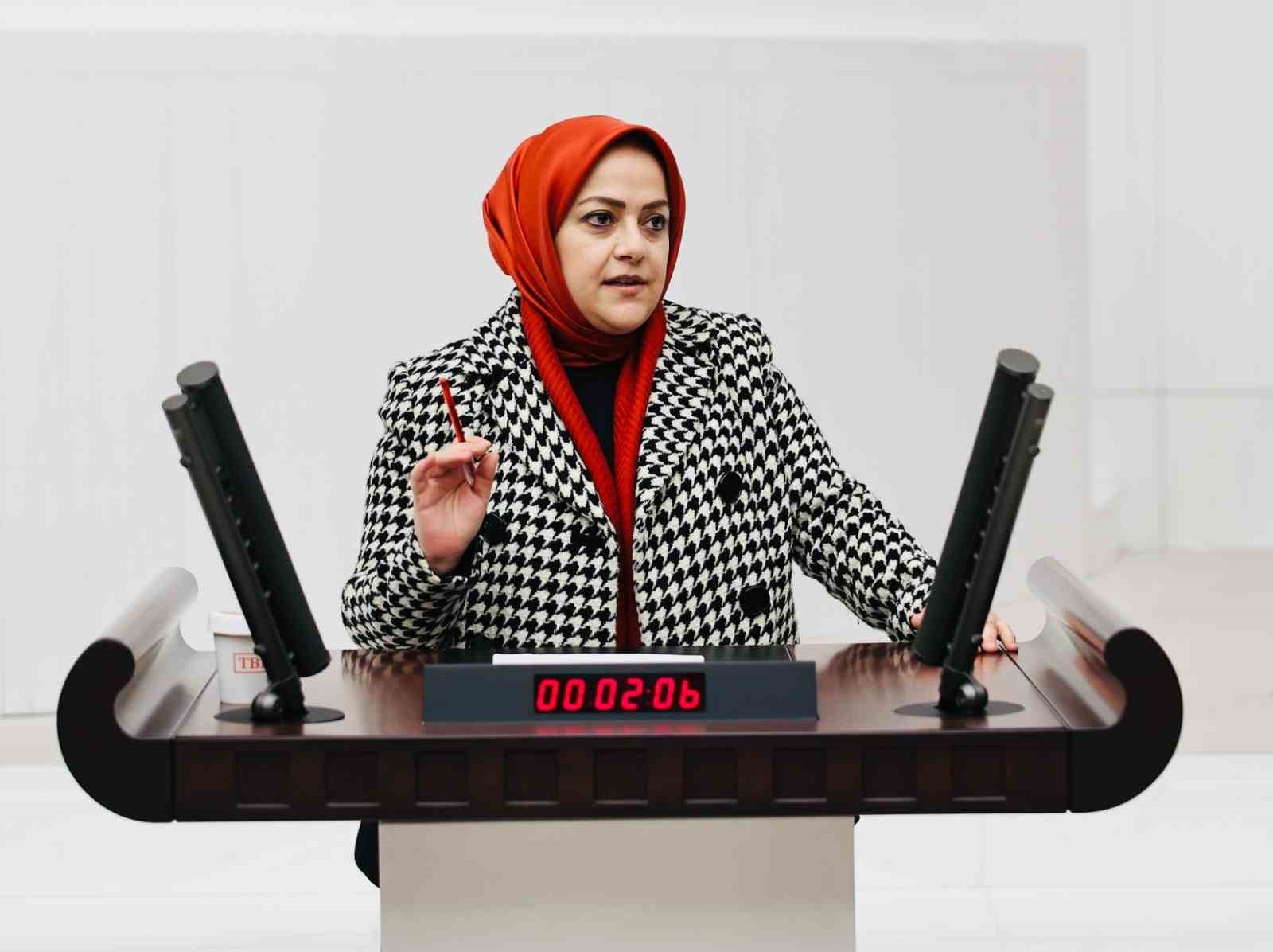Milletvekili Ün; 