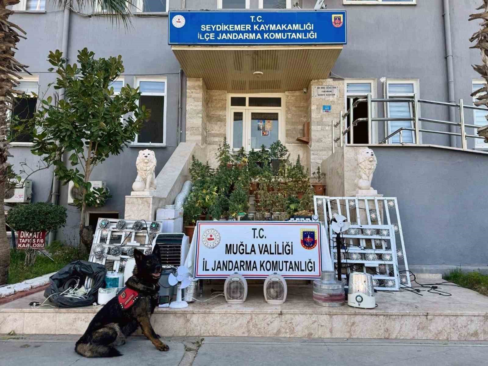 Seydikemer’de uyuşturucu operasyonu: 1 kişi tutuklandı
