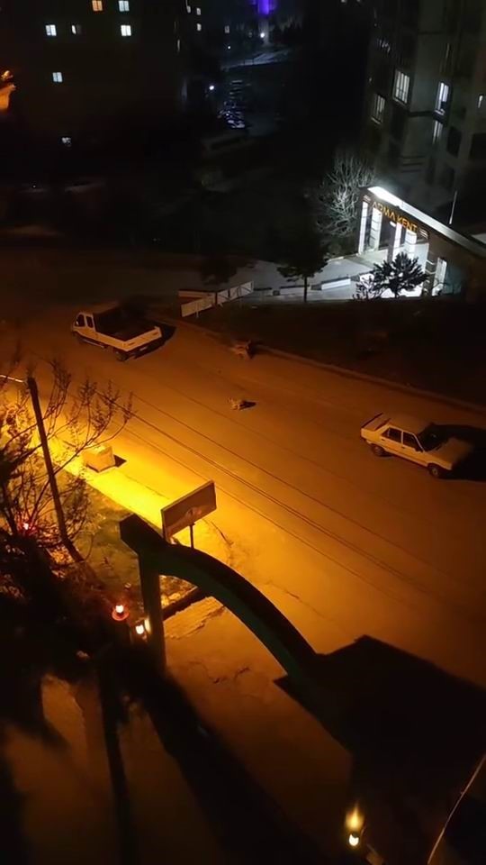 Elazığ’da sokak köpekleri çocuğa saldırdı