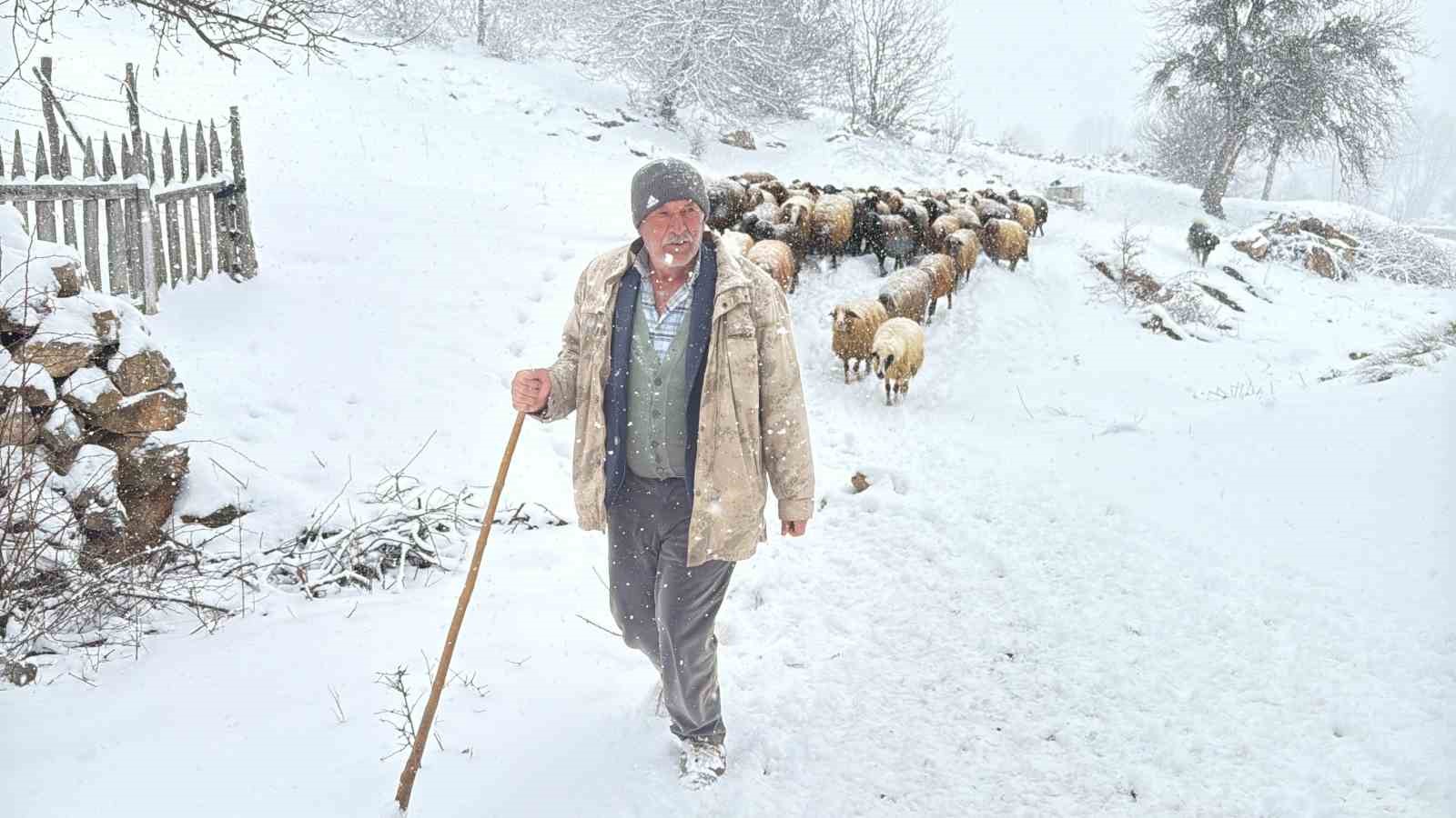 Hayvanlarını otlatmak için meraya çıkan çobanlara kar sürprizi