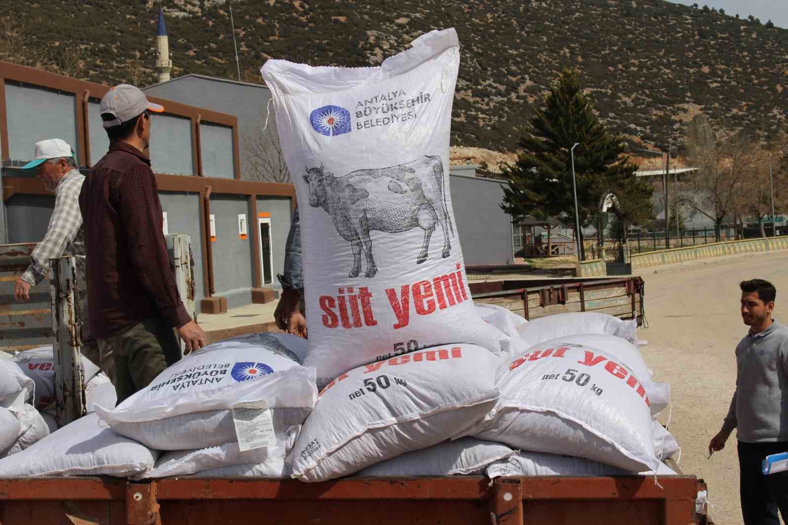 Büyükşehir’in üreticilere yem desteği sürüyor