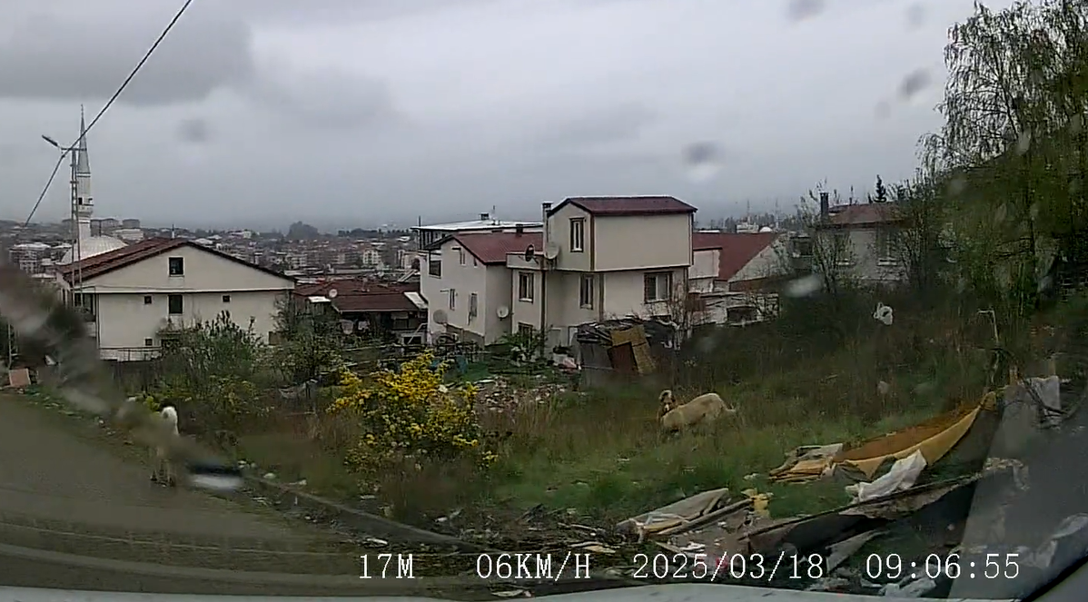 Yalova Valiliği: 