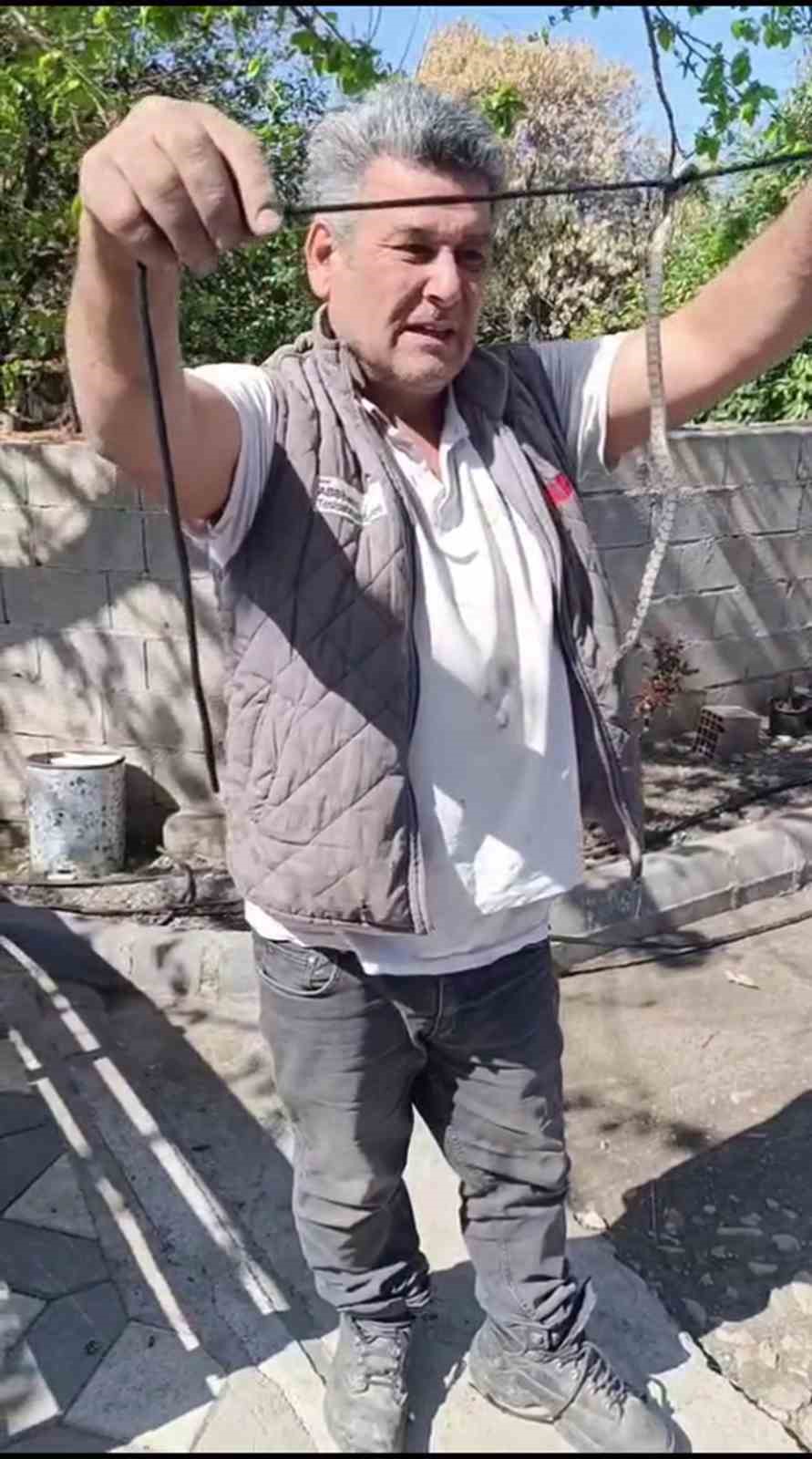 Eve giren yavru yılanı vatandaşlar yakaladı