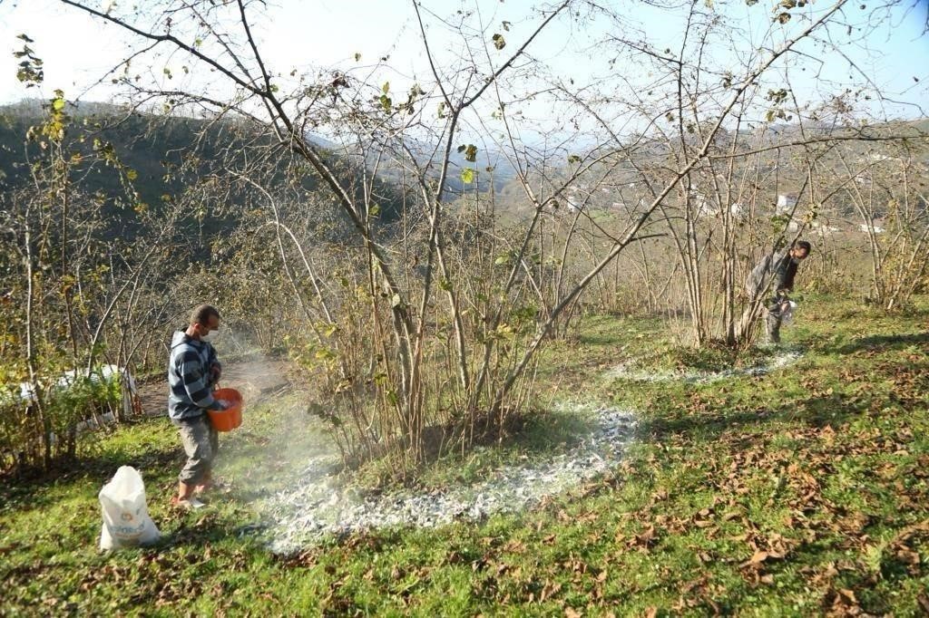 FINVER projesi il sınırlarını aştı