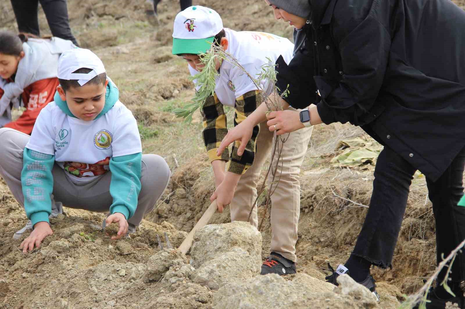 Çorum’da yüzlerce ıhlamur ve lavanta fidanı toprakla buluşturuldu