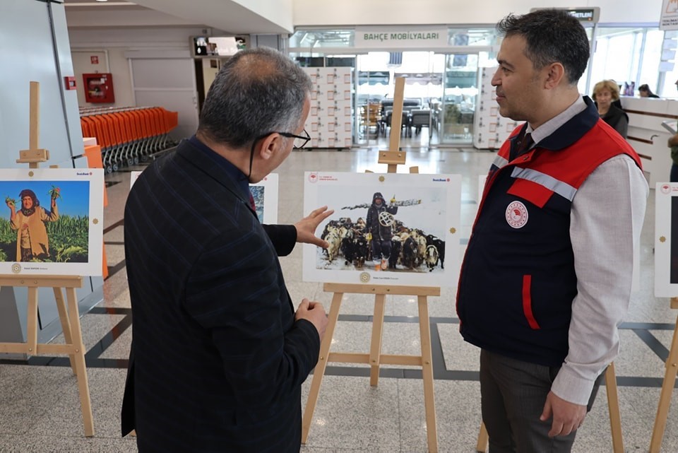 Orman ve insan fotoğraflarla anlatıldı